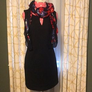 Banana Republic Shift Dress